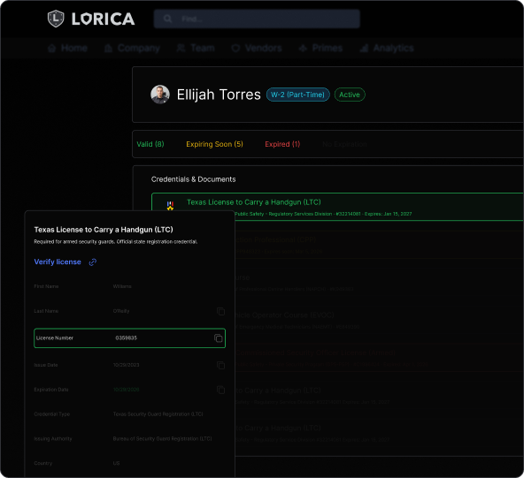 Structured individual profiles